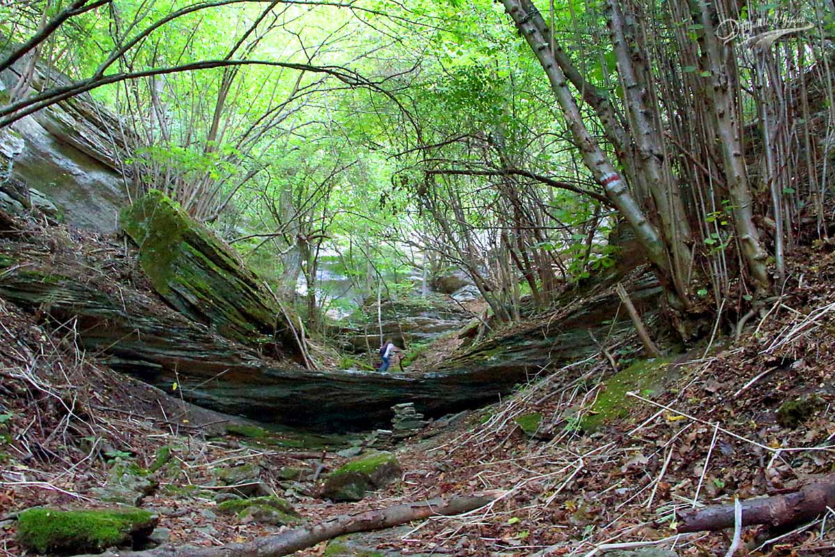 Madara Rider Eco-trail