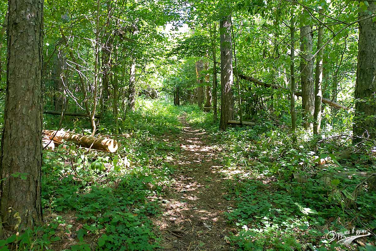 Along the Karst Trail