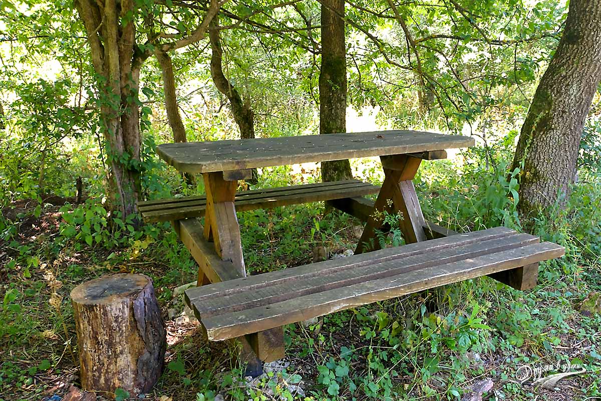 Along the Karst Trail